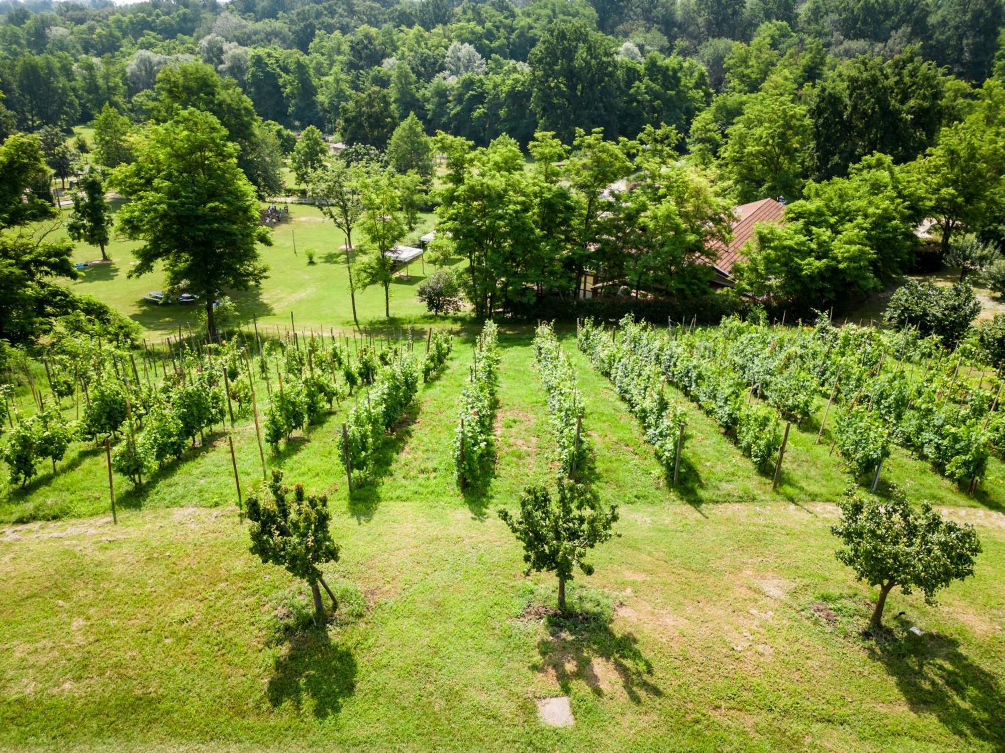 Agriturismo Parco Campofelice Lombardore Exteriör bild
